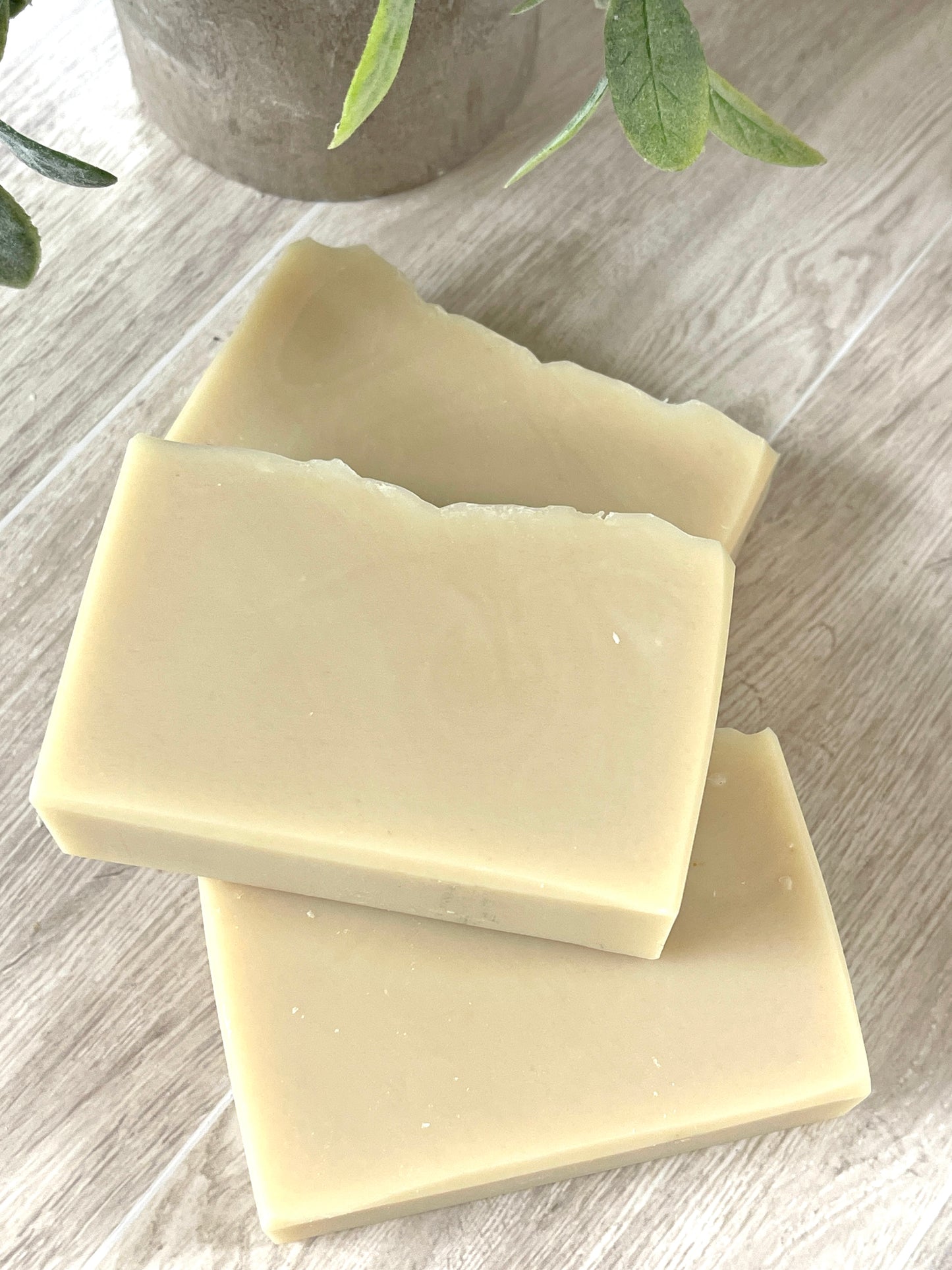 Colloidal Oatmeal