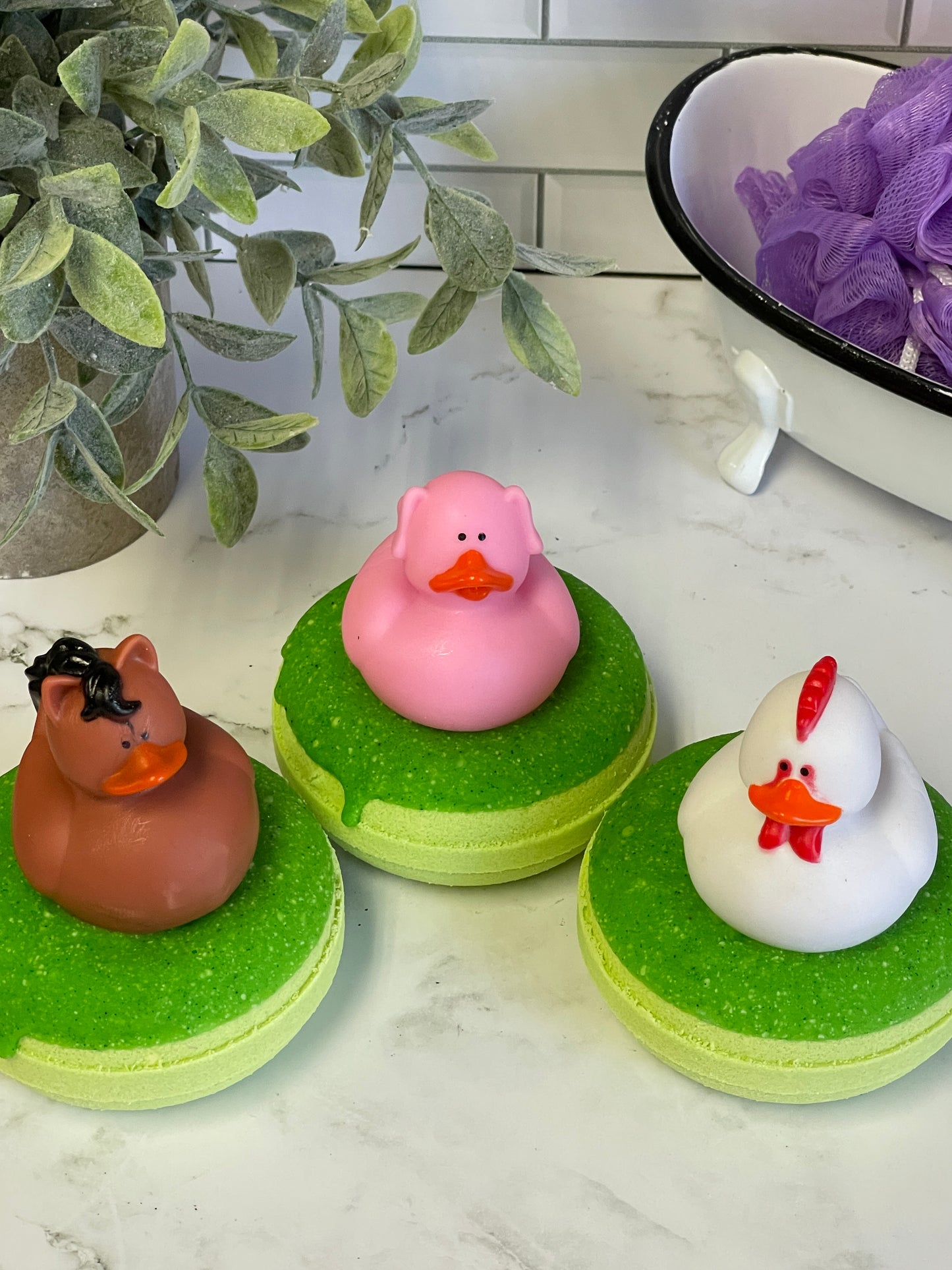 Barnyard Duck