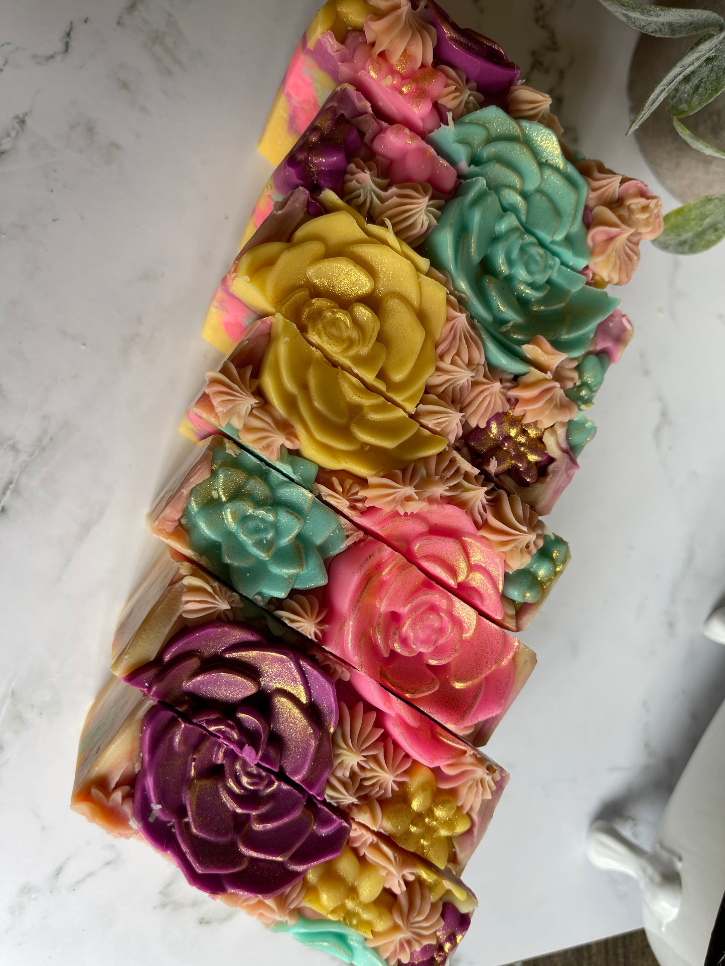 Succulent Suds