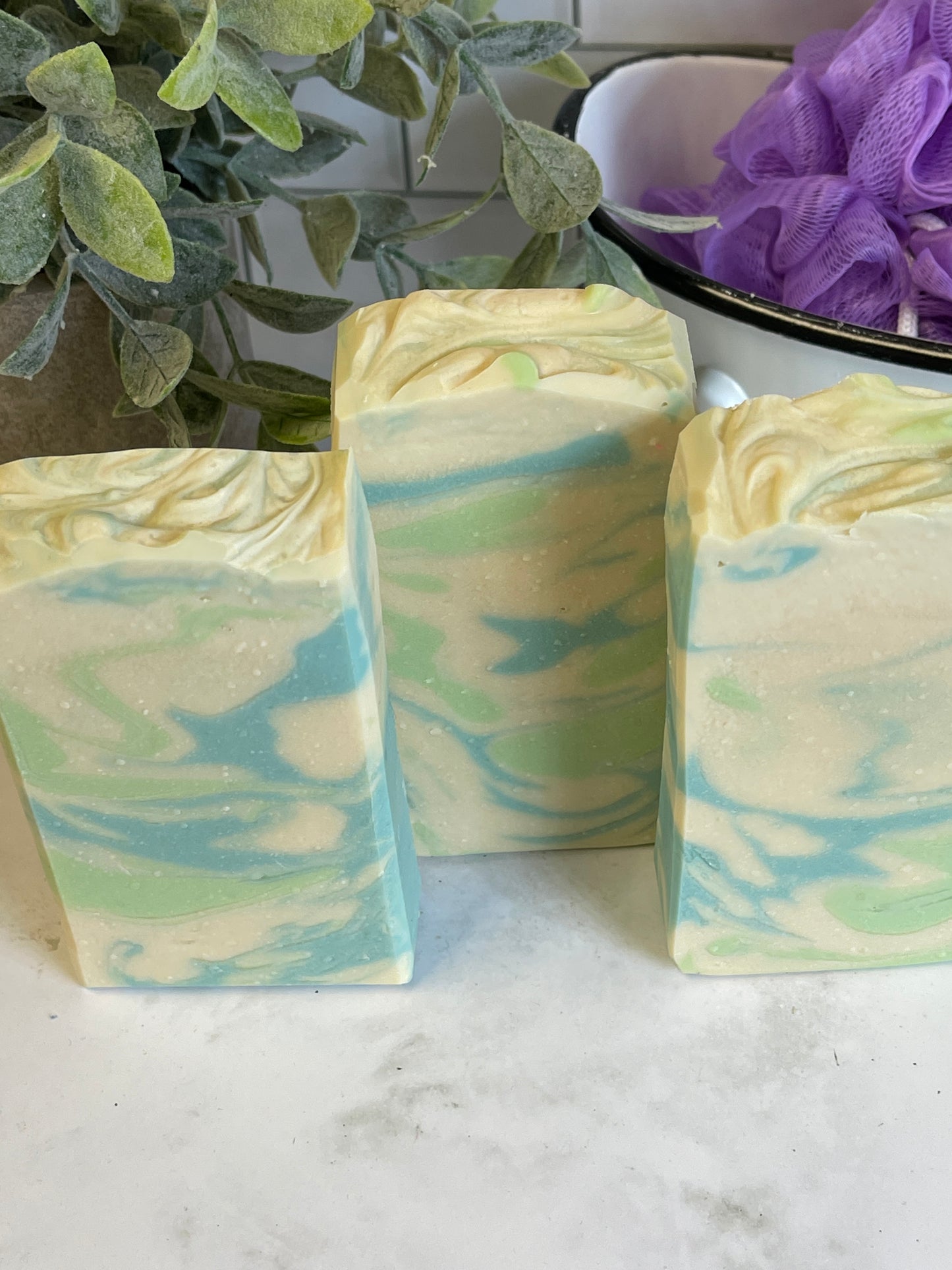 Gardenia