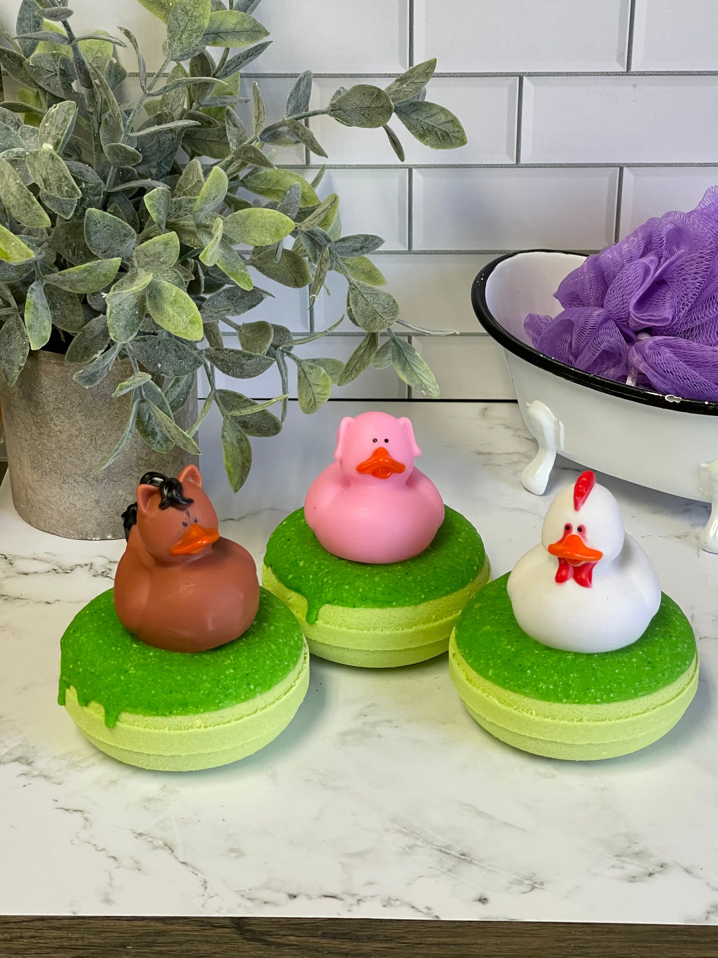 Barnyard Duck