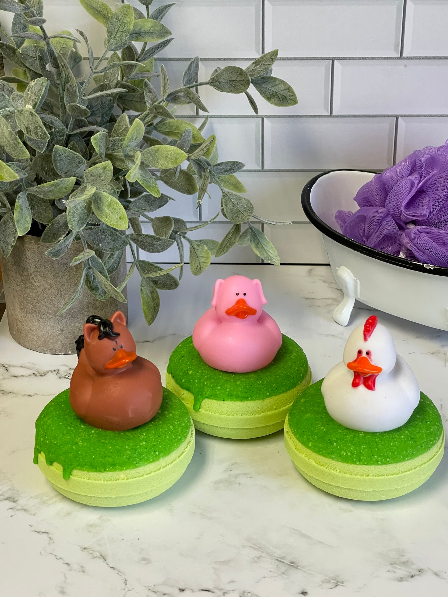 Barnyard Duck